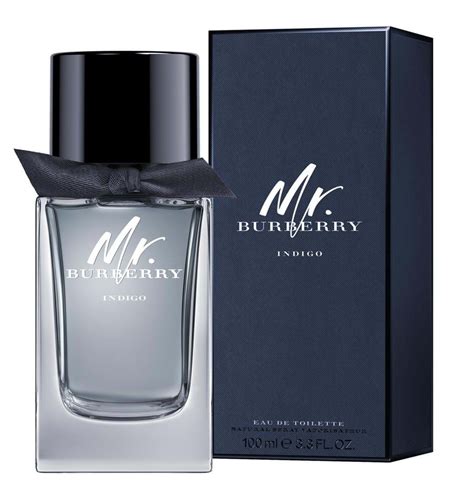 mr burberry eau de toilette 50ml|mr Burberry indigo 100ml.